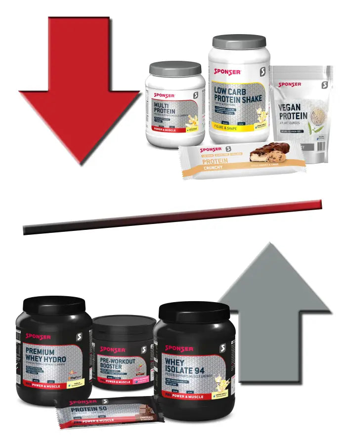 PROTEIN-EMPFEHLUNGEN