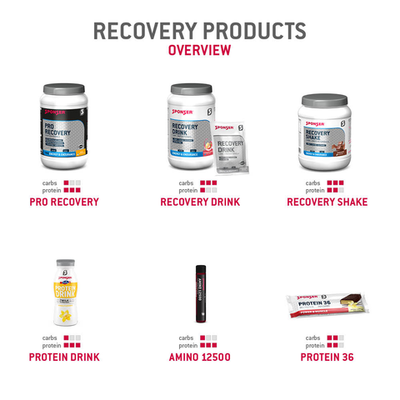 RECOVERY PRODUCTS